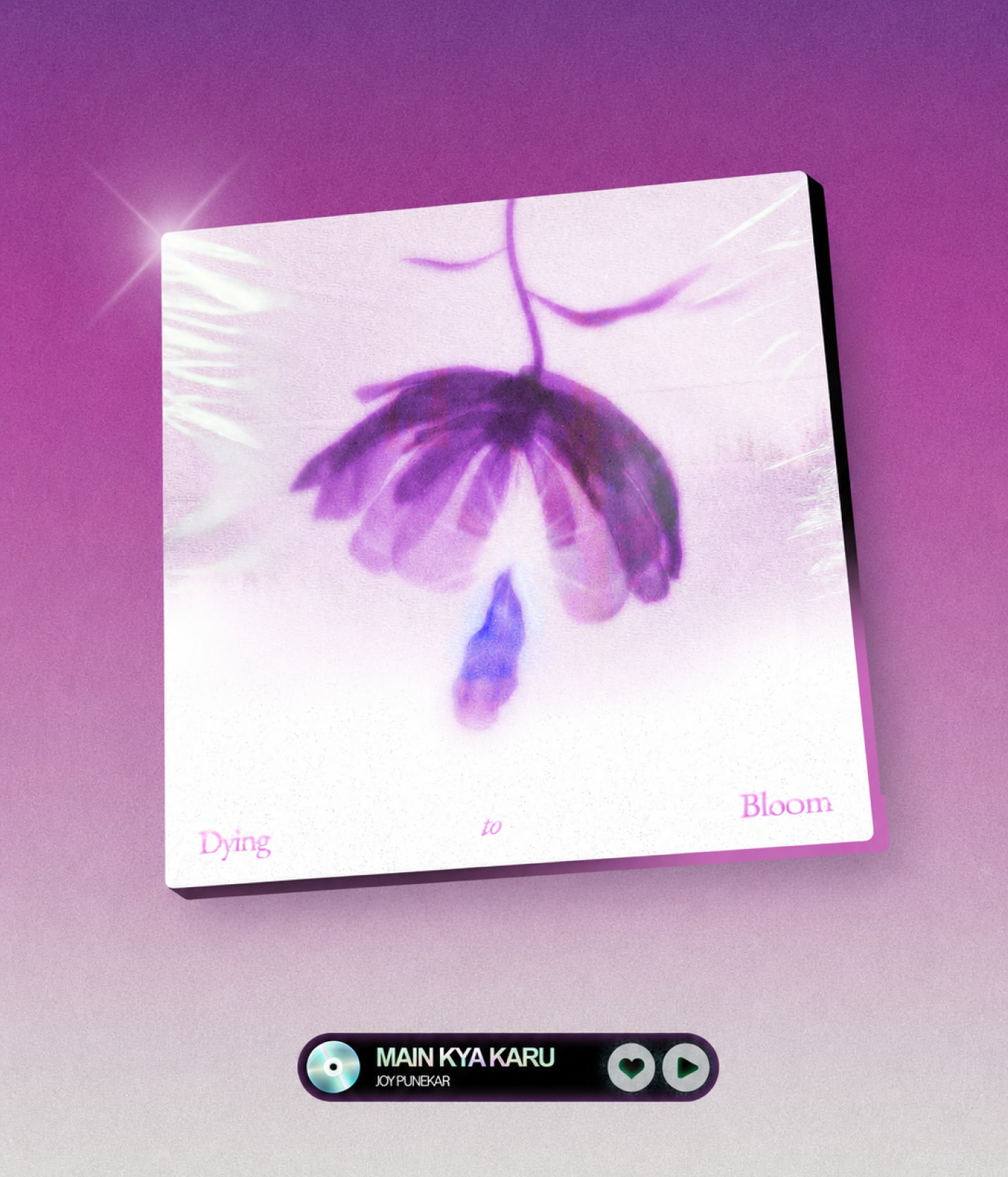 Dying to Bloom