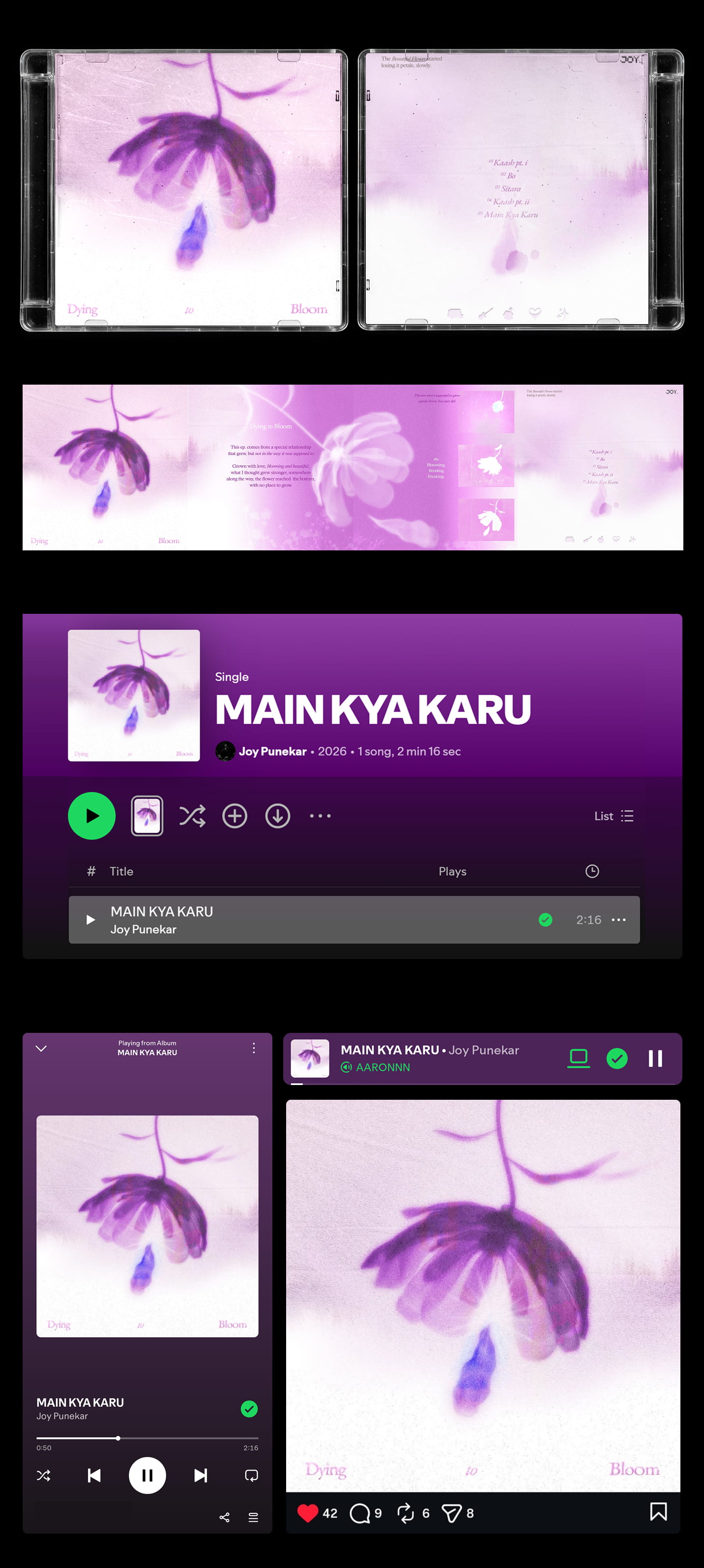 CD and Spotify